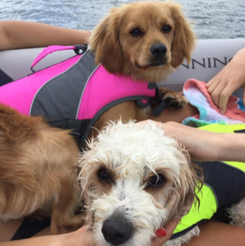 Meet your Posher, Sage